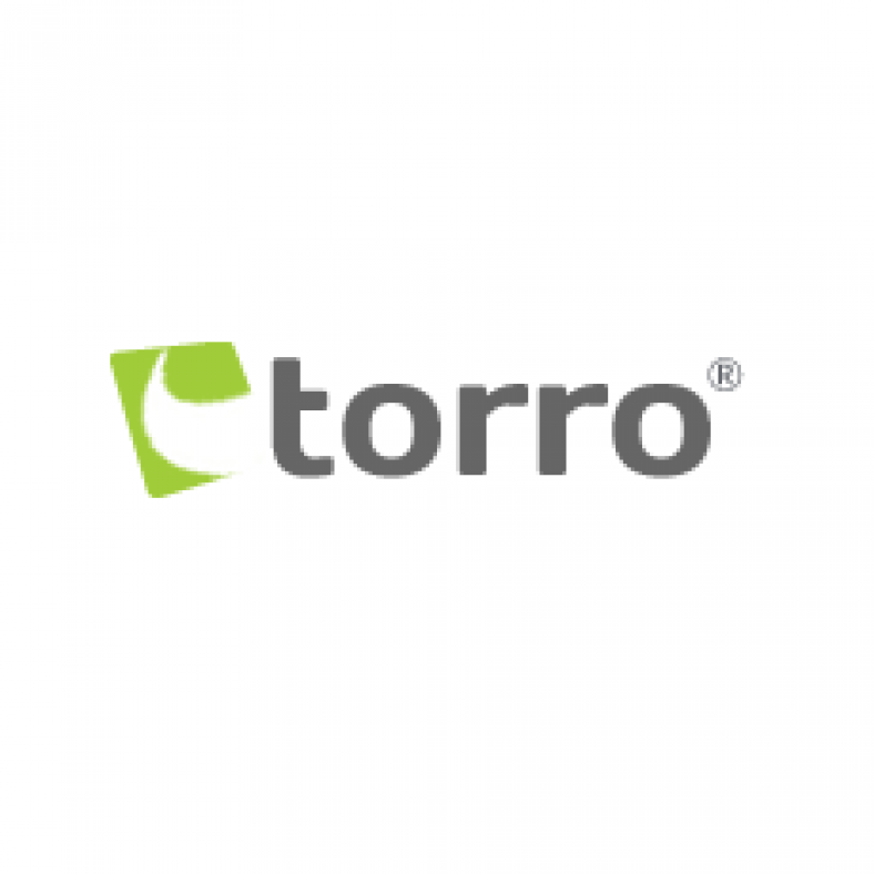 Torro Review