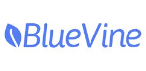 BlueVine Review