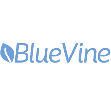 BlueVine Review